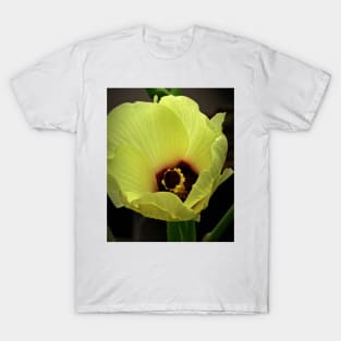 Flower of Okra T-Shirt